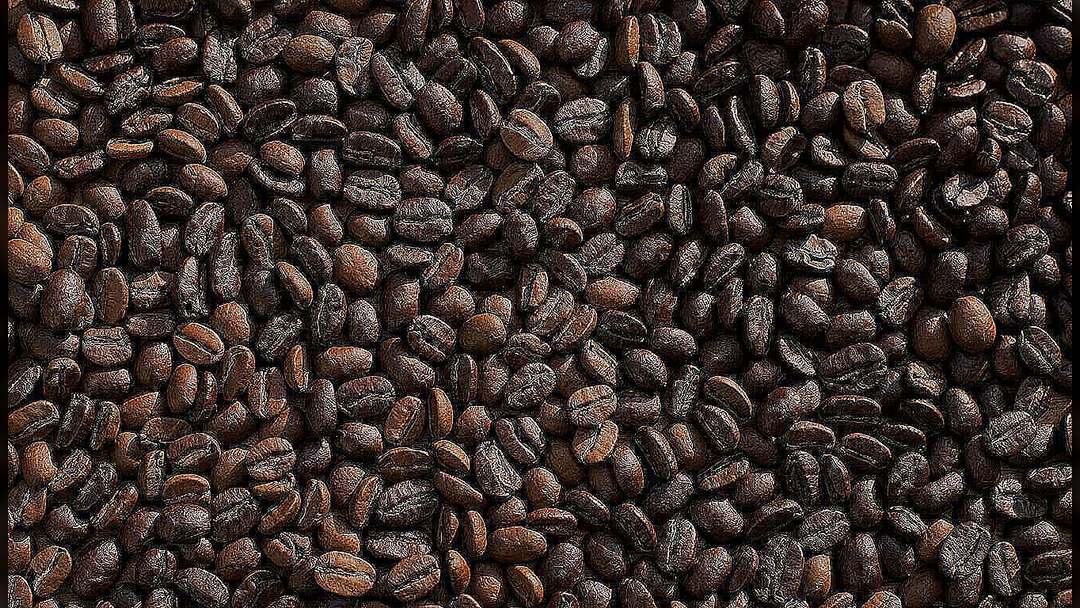 البن اليمني - أصل القهوة في العالم ورحلة الحبة الذهبية من اليمن إلى الكون