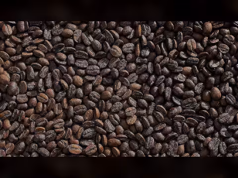 البن اليمني - أصل القهوة في العالم ورحلة الحبة الذهبية من اليمن إلى الكون