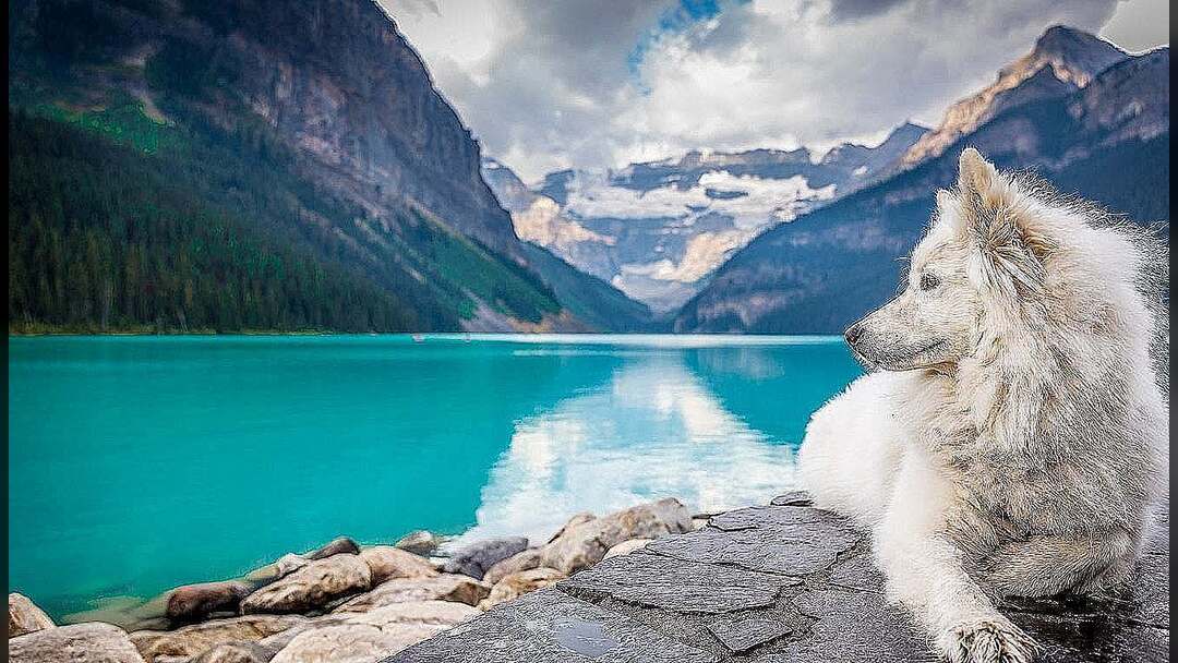 المحميات الطبيعية في المملكة العربية السعودية - جنة بيئية خفية في قلب الجزيرة العربية