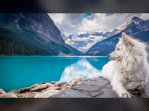 المحميات الطبيعية في المملكة العربية السعودية - جنة بيئية خفية في قلب الجزيرة العربية