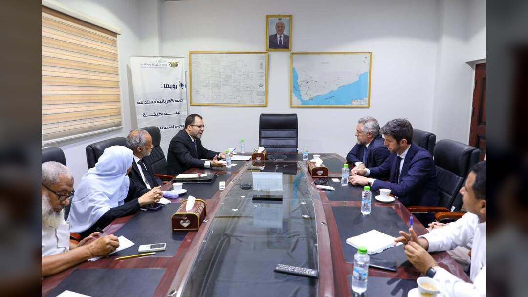 وزير الكهرباء يبحث مع نائب رئيس البنك الدولي تعزيز التعاون المشترك