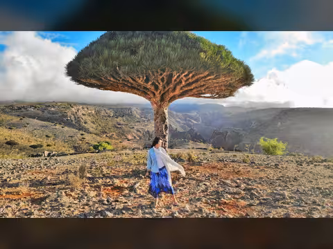 سقطرى: مناقشة أوضاع الخدمات الطبية مع القطاع الصحي في نوجد