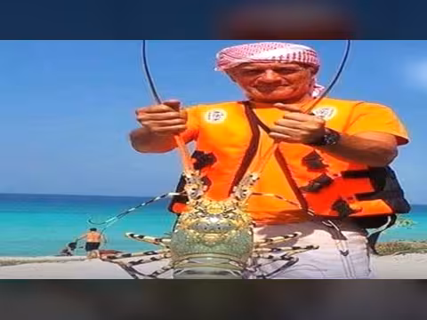 صدور قرار بإغلاق موسم اصطياد الشروخ الصخري بسواحل حضرموت والمهرة