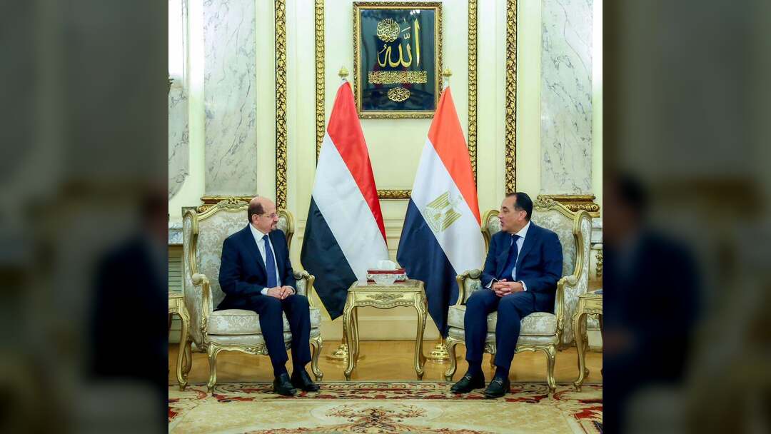 رئيس الوزراء وزير الخارجية يلتقي نظيره المصري