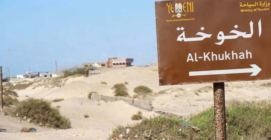  مليشيات الحوثي تنهب منشآت طبية وإغاثية في مديرية الخوخة