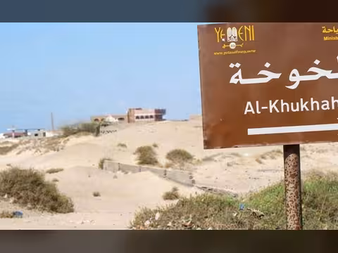  مليشيات الحوثي تنهب منشآت طبية وإغاثية في مديرية الخوخة