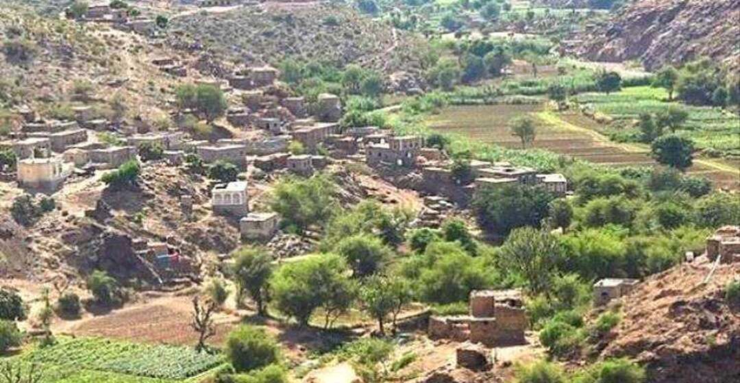 الضالع.. ميليشيا الحوثي تواصل استهداف الأعيان الدينية والمقابر في منطقة تورصة بالأزارق
