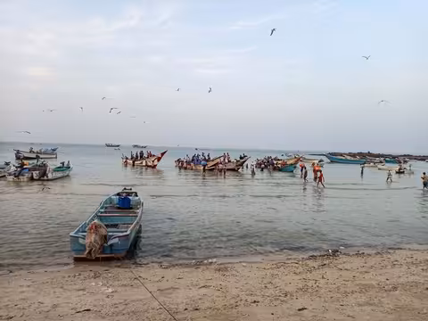 هروب جماعي للحوثيين من الخوخة بعد عمليات نهب واسعة للمخا